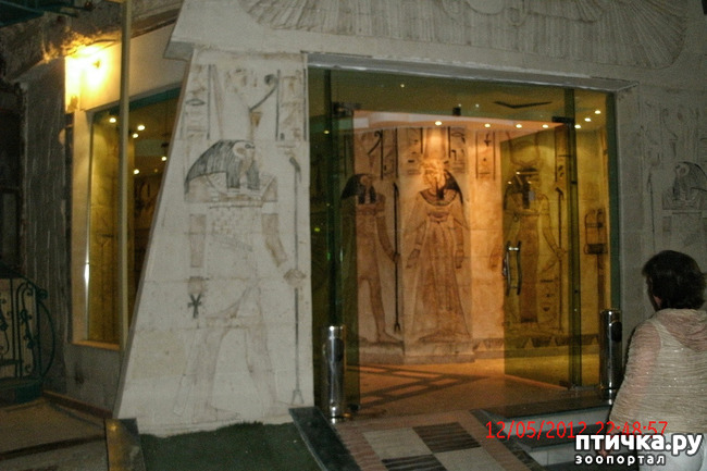 ���� 42: ������. ����������.