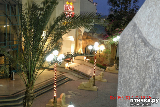 ���� 35: ������. ����������.