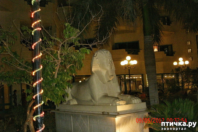 ���� 33: ������. ����������.