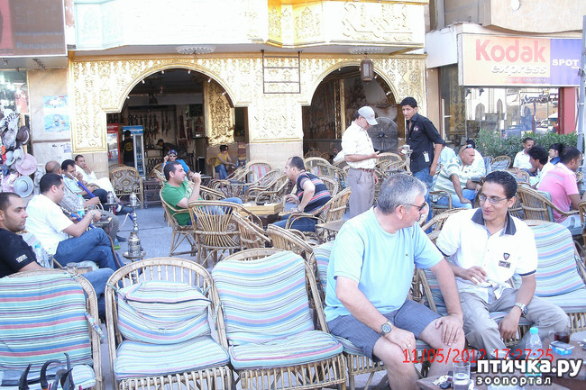 ���� 8: ������. ����������.