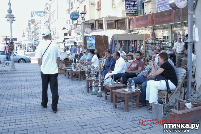 ���� 9: ������. ����������.