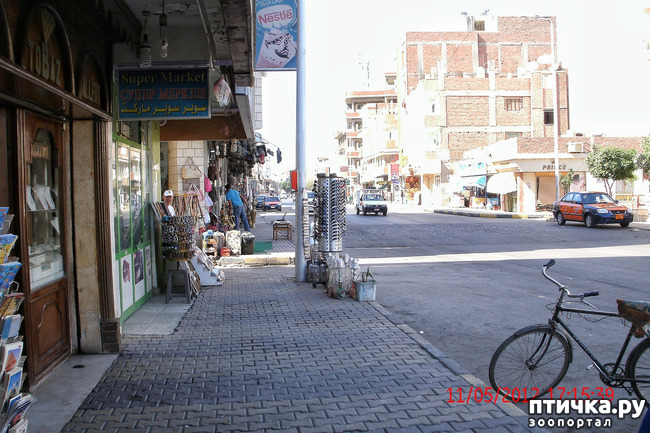 ���� 10: ������. ����������.