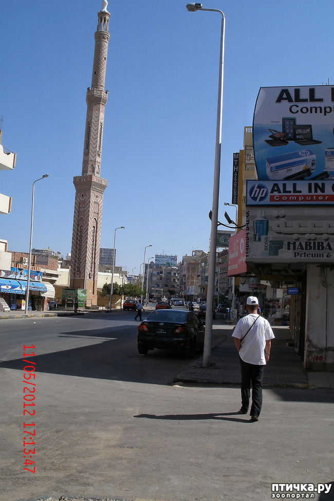 ���� 12: ������. ����������.