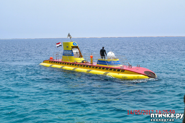 ���� 14: ������. ����������.