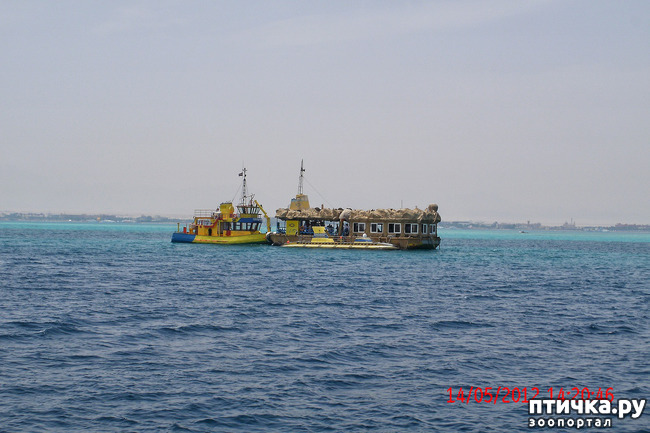 ���� 15: ������. ����������.