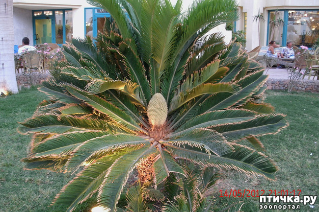 ���� 22: ������. ����������.