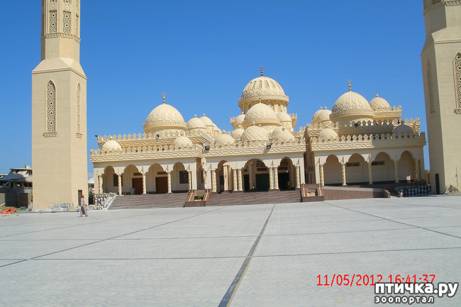 ���� 2: ������. ����������.