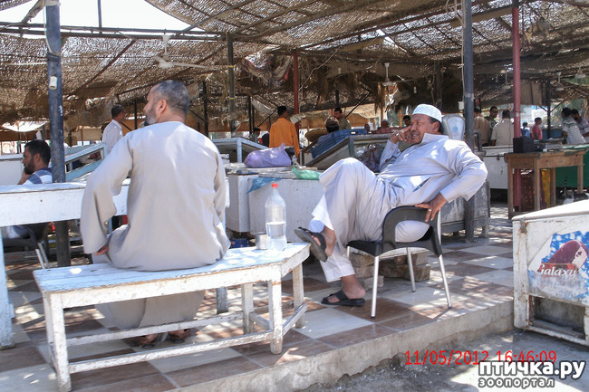 ���� 4: ������. ����������.