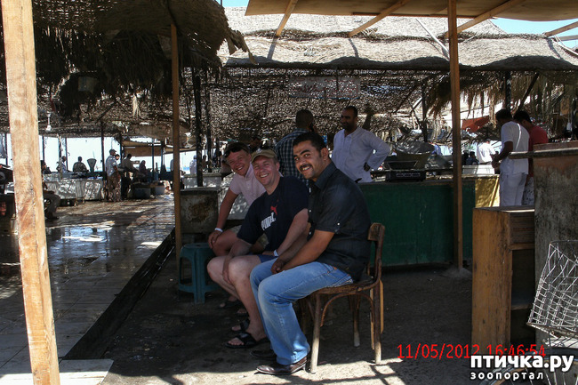 ���� 5: ������. ����������.