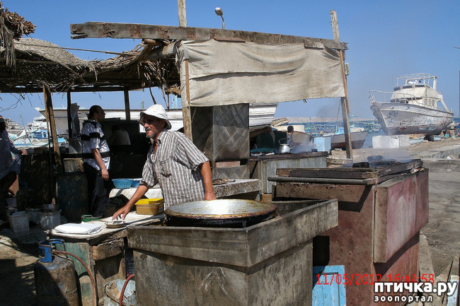 ���� 3: ������. ����������.