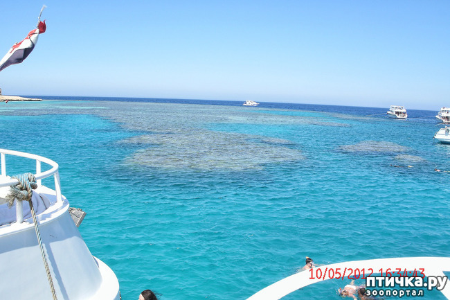 ���� 23: ������. ����������.