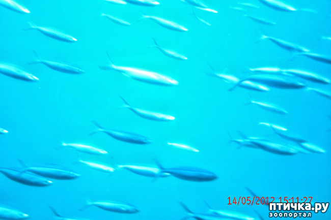 ���� 24: ������. ����������.