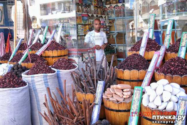 ���� 44: ������. ����������.