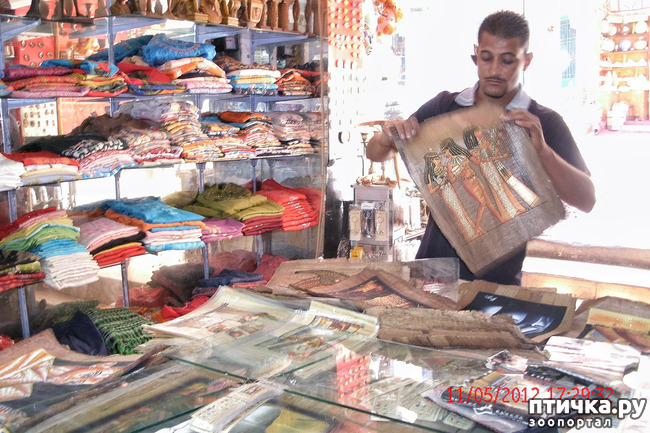 ���� 48: ������. ����������.