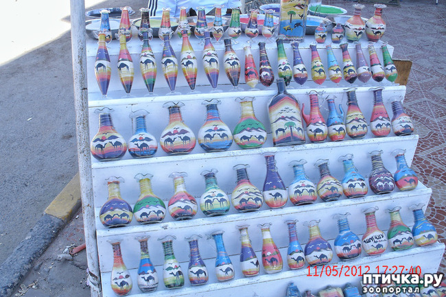 ���� 47: ������. ����������.