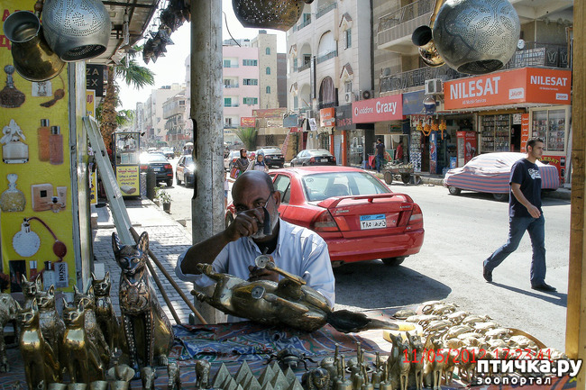 ���� 46: ������. ����������.