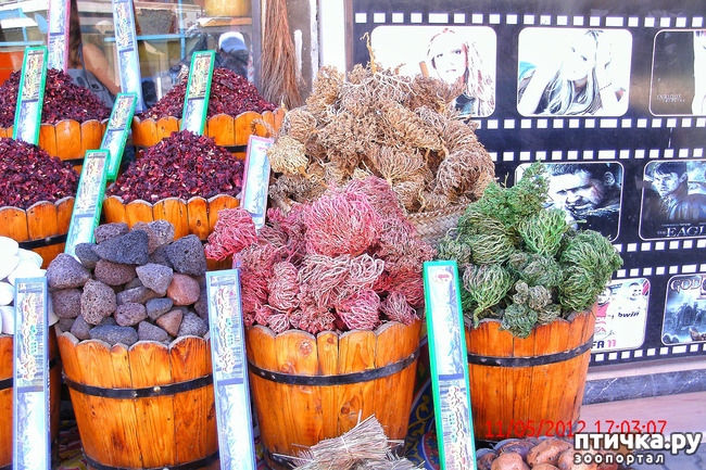 ���� 45: ������. ����������.