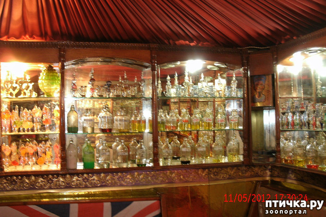 ���� 49: ������. ����������.