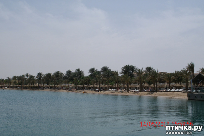 ���� 18: ������. ����������.