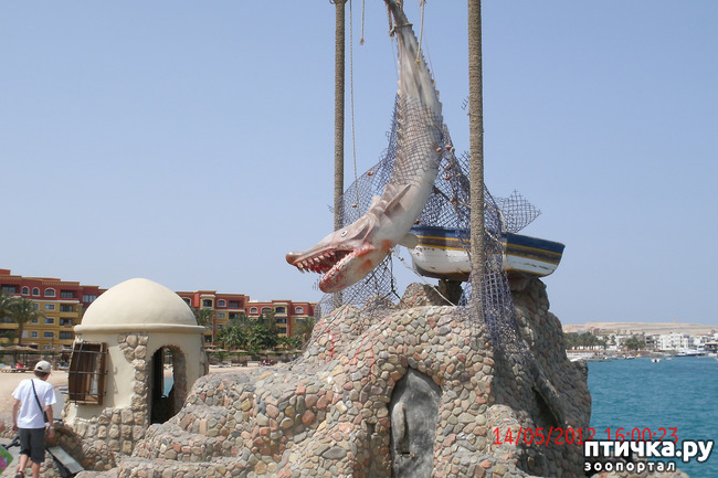 ���� 21: ������. ����������.