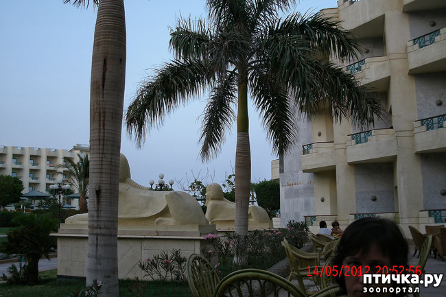 ���� 19: ������. ����������.