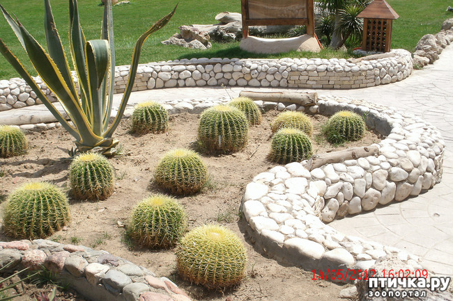 ���� 20: ������. ����������.