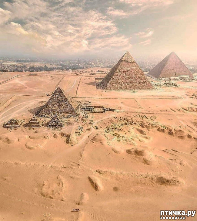 ���� 1: ������. ����������.