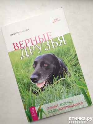 фотография: Дженни Смедли "Верные друзья" фото: Дженни Смедли "Верные друзья"