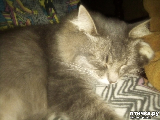 ���� 13: ������� �������.