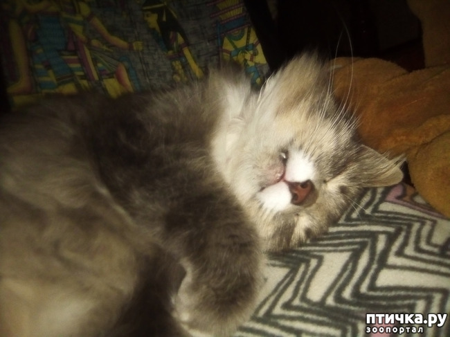 ���� 14: ������� �������.