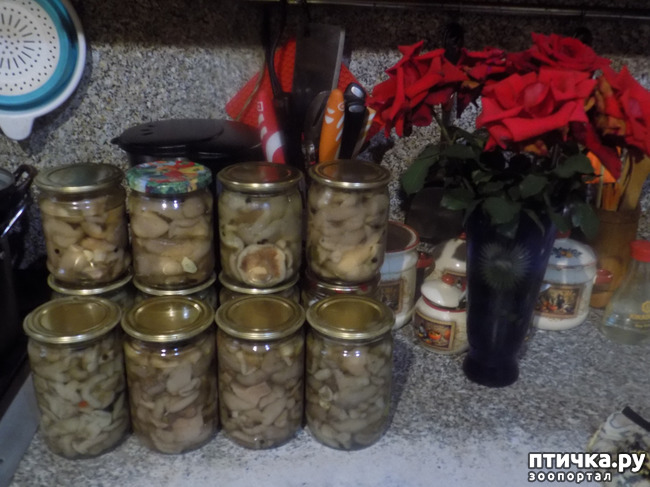 ���� 6: ������� �������.