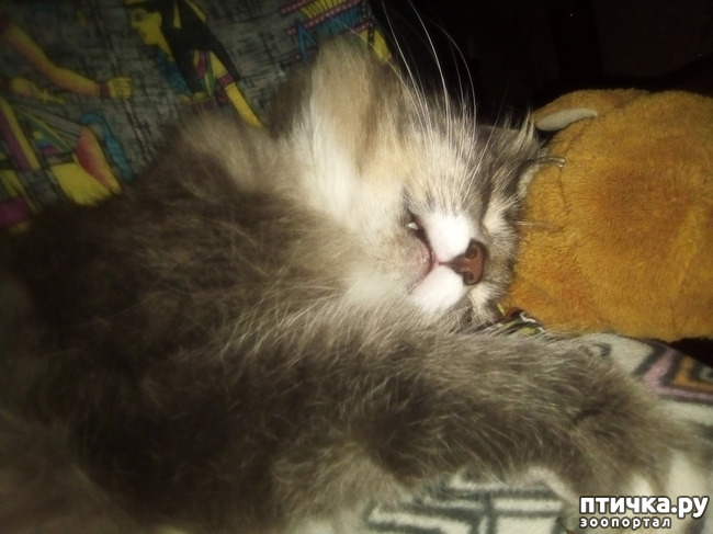 ���� 15: ������� �������.