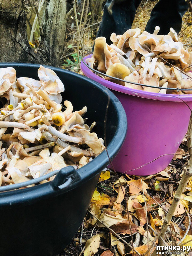 ���� 3: ������� �������.