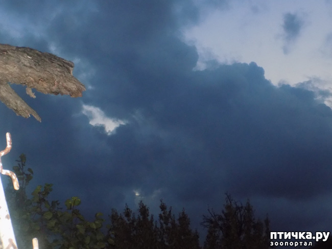 ���� 7: ������� �������.