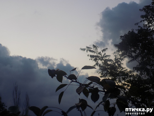 ���� 8: ������� �������.