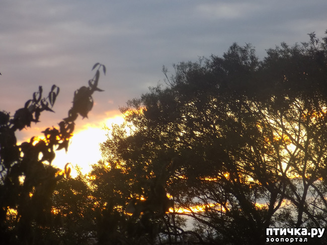 ���� 9: ������� �������.