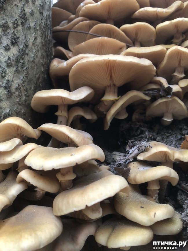 ���� 4: ������� �������.