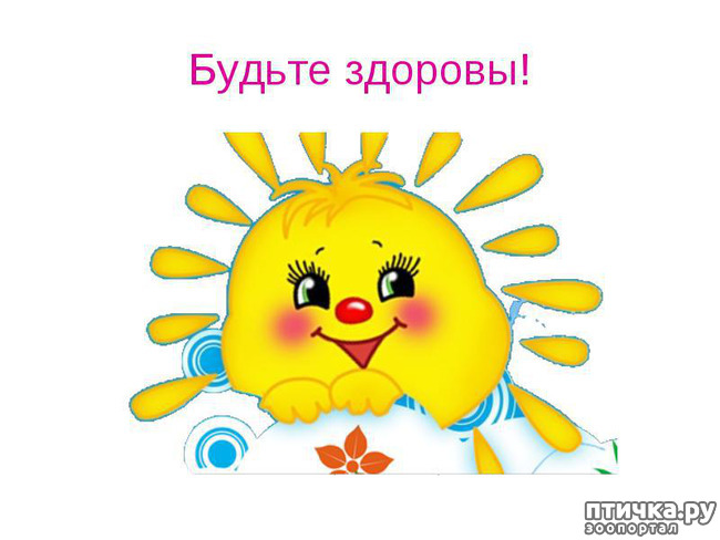 ���� 16: ������� �������.