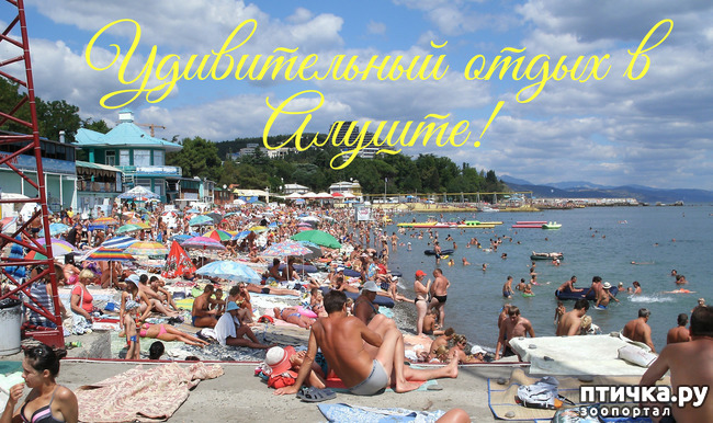 ���� 2: ������ 2011