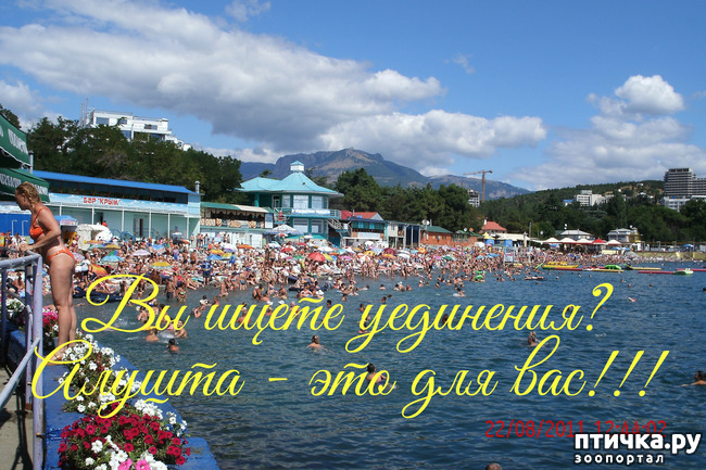 ���� 3: ������ 2011