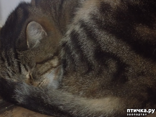 ���� 10: ������� �������.