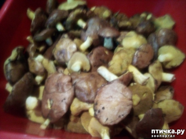 ���� 5: ������� �������.