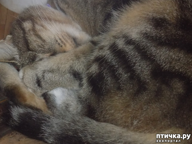 ���� 11: ������� �������.