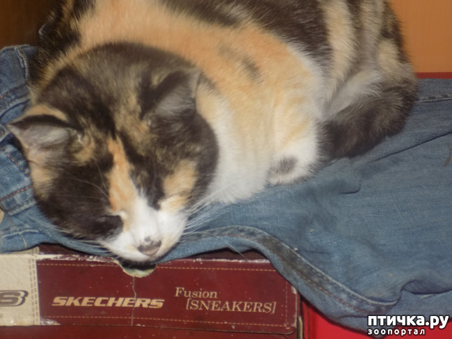 ���� 12: ������� �������.