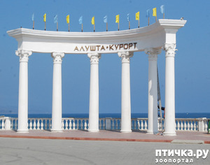 ����: ������ 2011