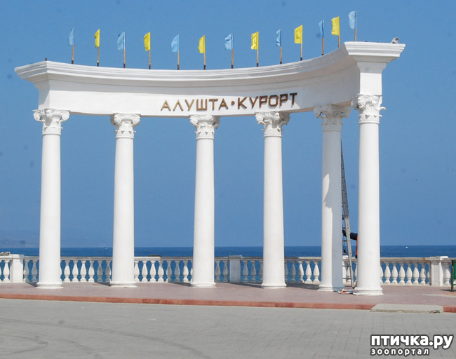 ���� 1: ������ 2011