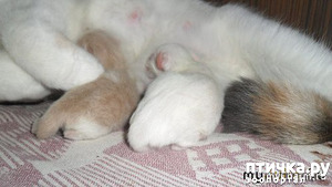 ����: ����������� � �����.