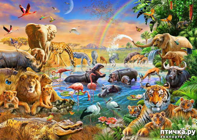 ���� 2: ����������