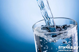 ����: ��� ��� ��� �����. ���������� �� �������������� �������������