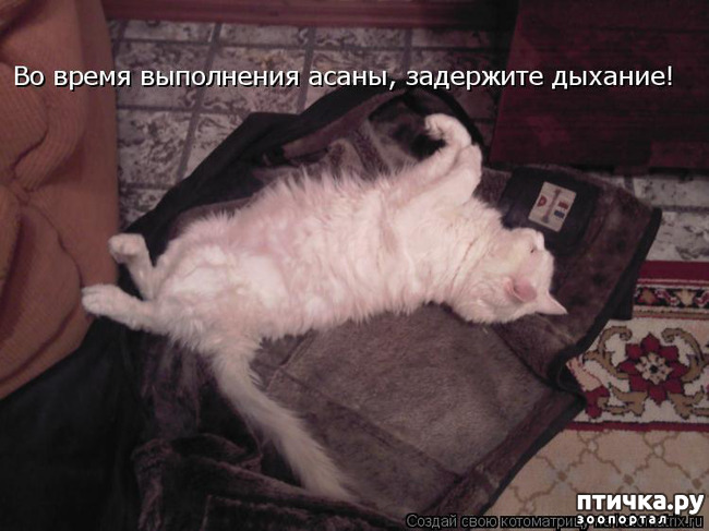 ���� 3: ��� ��� ��� �����. ���������� �� �������������� �������������